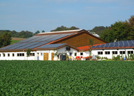 Sončne elektrarne na kmetijskih objektih
